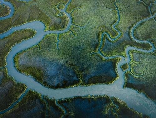 An aerial view of a river delta branching into many channels